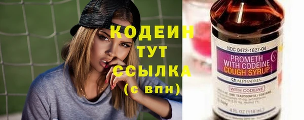 ГАЛЛЮЦИНОГЕННЫЕ ГРИБЫ Михайлов