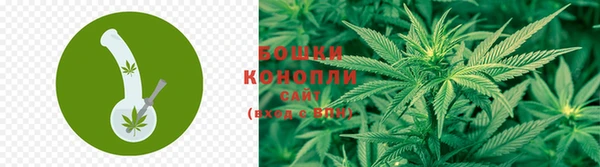 ГАЛЛЮЦИНОГЕННЫЕ ГРИБЫ Михайлов