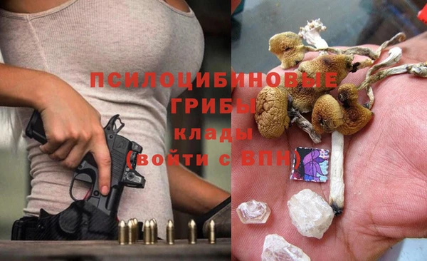 гашик Верхний Тагил