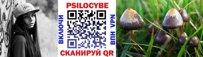 Галлюциногенные грибы мухоморы  купить  сайты  Вытегра 